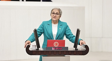 CHP Milletvekili Taşkent’ten fındık fiyatlarına tepki