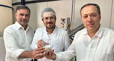 Geyve Belediyesi Ayva'dan Petkin Üretti