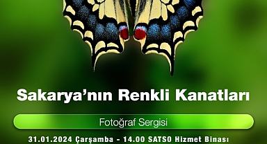 Sakarya'nın Renkli Kanatları Fotoğraf Sergisi SATSO'da Sanatseverlerle Buluşacak 