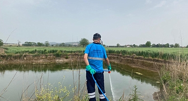 Büyükşehir Ekipleri Haşere Ve Vektörlere Karşı Etkin Mücadele Yürütüyor