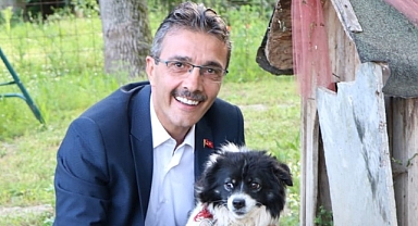 Erenler Belediyesinden Sokak Hayvanlarına Yönelik Proje