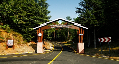 Benzersiz Doğasıyla Yazın Yıldızı İl Ormanı Tabiat Park Oldu