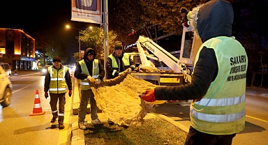 Büyükşehir’den Palmiyeler İçin Önlem