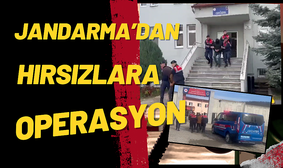 Jandarma'dan Büyükbaş Hayvan Hırsızlığı Operasyonu