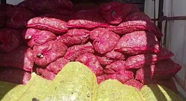 Kaçak Deniz Midyesi Ele Geçirildi