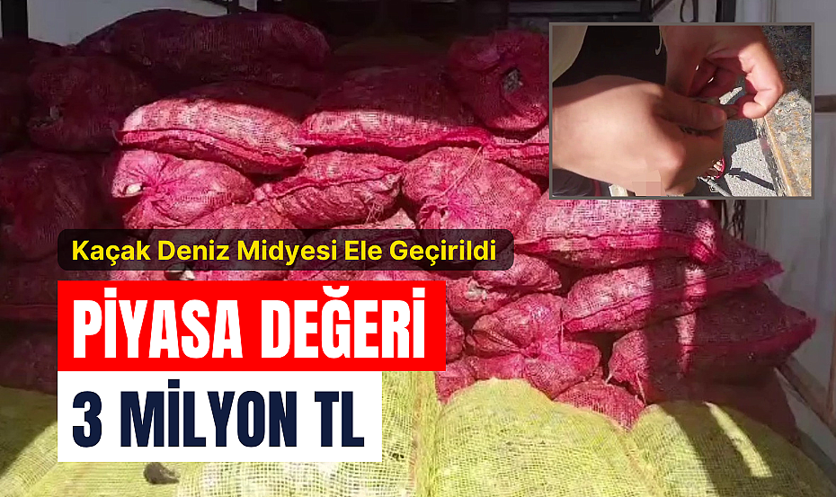 Kaçak Deniz Midyesi Ele Geçirildi 