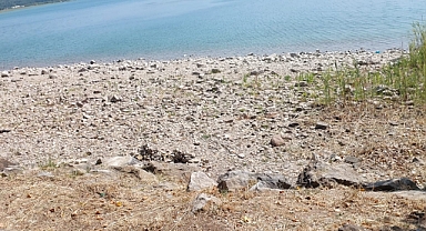 Sapanca Gölü'nde Su Seviyesi Alarm Veriyor