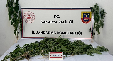 Uyuşturucu Operasyonunda 3 Şüpheli Tutuklandı