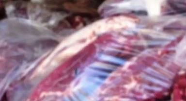 Adapazarı’nda 2 Ton Kaçak Et ve Süt Ürünü Ele Geçirildi 