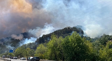 Doğançay'da Orman Yangını 