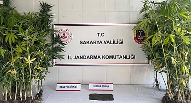 Jandarma'dan Sokak Satıcılarına ve Uyuşturucu Kullanıcılarına Operasyon