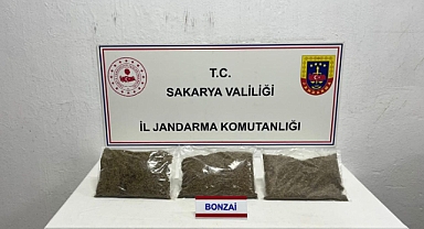 Jandarmadan Uyuşturucu Operasyonu