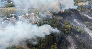 Akyazı’da Orman Yangını Kontrol Altına Alındı 