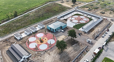 Büyükşehir'den Sokak Hayvanları Doğal Yaşam Kampüsü