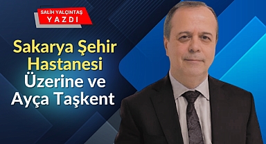 Salih Yalçıntaş Yazdı 