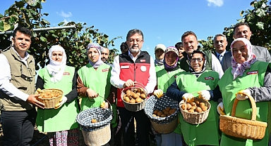 Bakan Yumaklı Kivi Hasadına Katıldı 