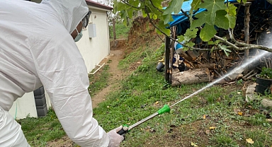 Erenler’de Kokarcaya Yönelik Etkili Mücadele Devam Ediyor 