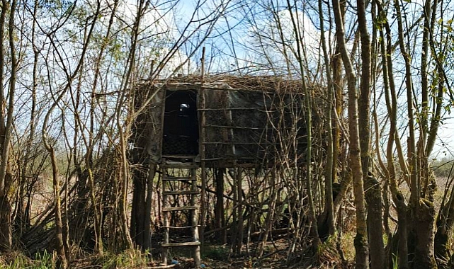 Jandarma'dan Kaçak Avcılığa Geçit Yok 