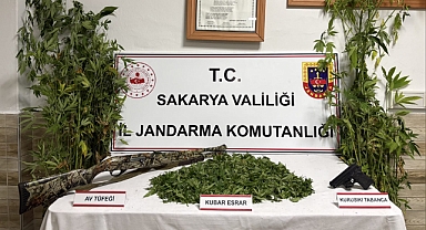 Jandarma'dan Kenevir Operasyonu 
