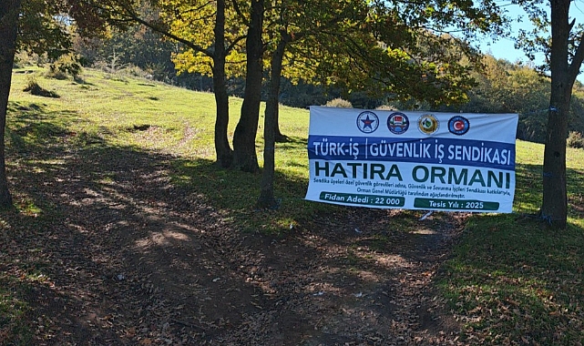 Valilik Koordinesinde 22 Bin Fidan Toprakla Buluştu 