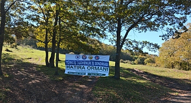 Valilik Koordinesinde 22 Bin Fidan Toprakla Buluştu 