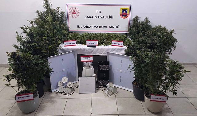 Jandarmadan Skunk Baskını 