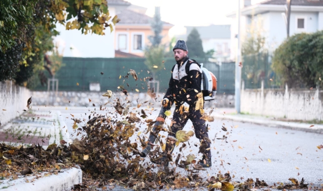 Serdivan'da Sonbahar Temizliği 