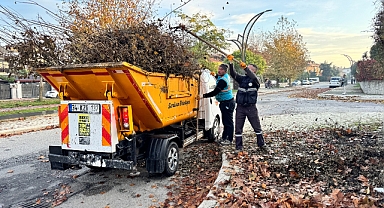 Serdivan'da Sonbahar Temizliği 
