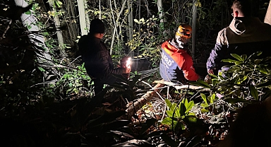 Orman Kesim Sahasında Kaza: 24 Yaşındaki İşçi Kurtarıldı