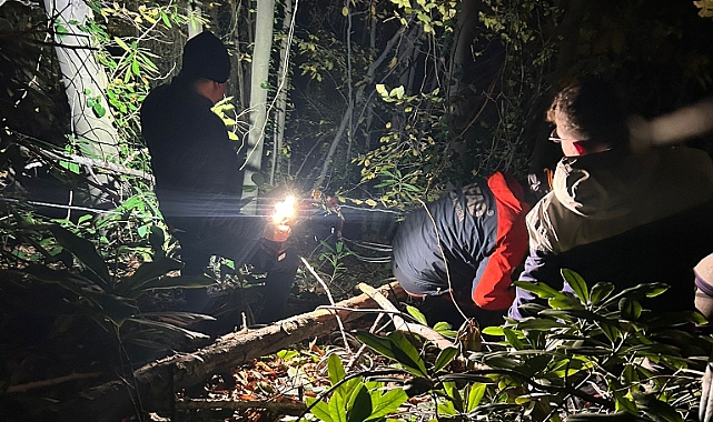 Orman Kesim Sahasında Kaza: 24 Yaşındaki İşçi Kurtarıldı