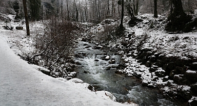 Beyaz Örtü Sapanca Gölü’nü Besleyen Derelere Can Oldu 