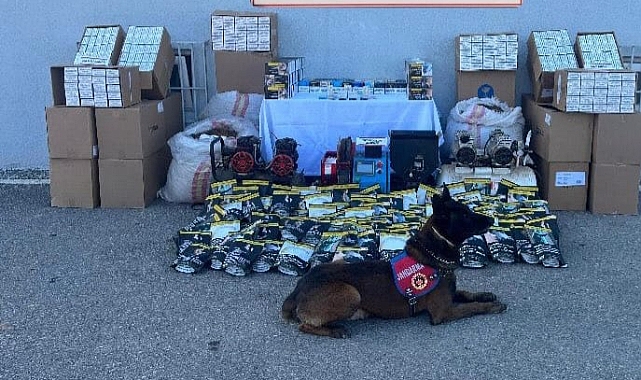 Jandarma'dan Kaçak Sigara Baskını