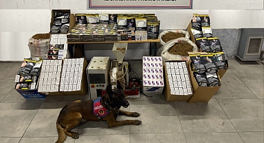 Jandarma Kaçak Tütün Depolarını Bastı 