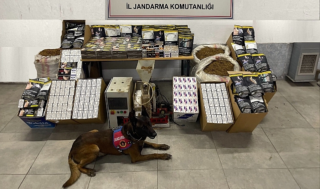 Jandarma Kaçak Tütün Depolarını Bastı 