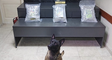 Narkotik Ekipleri Sevkiyatı Yolda Durdurdu