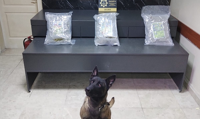 Narkotik Ekipleri Sevkiyatı Yolda Durdurdu