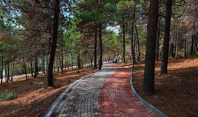 Sakarya’da 23 Nisan Halk Koşusu Düzenlenecek 