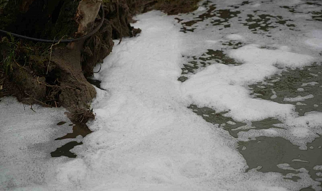 Hendek’teki Köpüklenmenin Nedeni Belli Oldu 