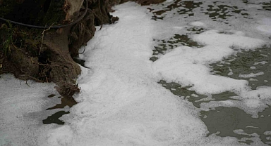 Hendek’teki Köpüklenmenin Nedeni Belli Oldu 