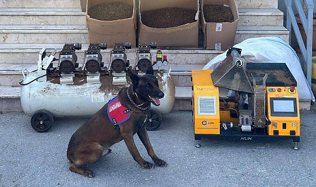 Jandarmadan Kaçak Tütün Operasyonu 