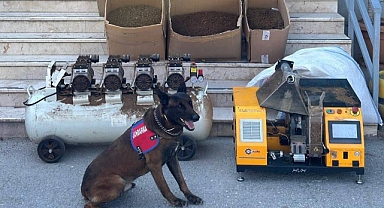 Jandarmadan Kaçak Tütün Operasyonu 