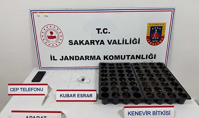 Torbacılara Jandarma'dan Operasyon