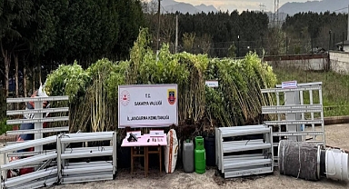 Kapalı Ortamda Kenevir Üretimine Jandarma Baskını 