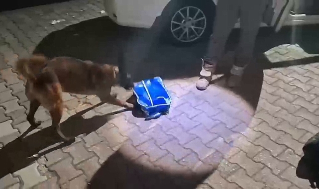Uyuşturucu Tacirleri Gişelerde Kıskıvrak Yakalandı