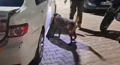 Uyuşturucu Tacirleri Gişelerde Kıskıvrak Yakalandı