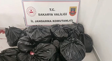 Hendek İlçesinde Durdurulan Tırda At Ve Eşek Eti Ele Geçirildi 