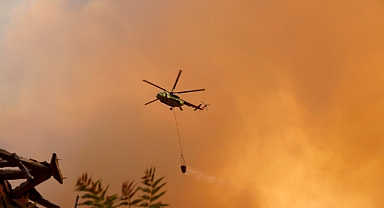 Taraklı'da Orman Yangını 
