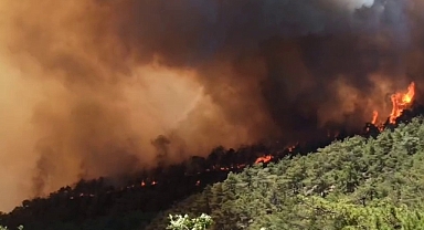 Taraklı'da Orman Yangını Devam Ediyor